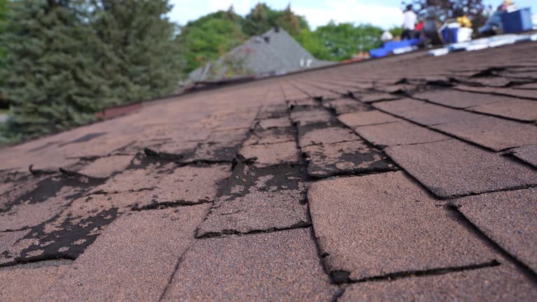 Reliable Nibley, UT Roofing Services Solutions