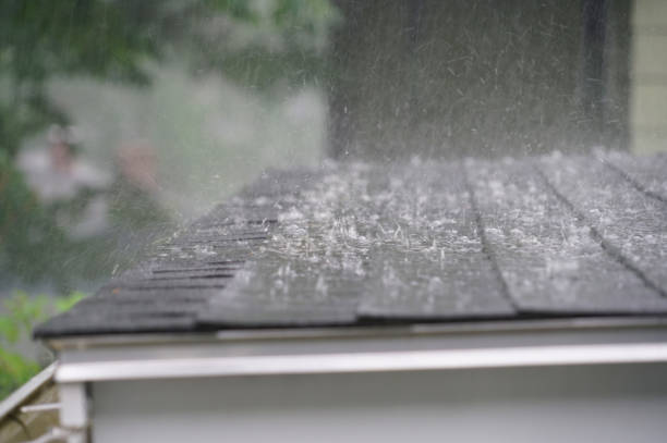  Nibley, UT Roofing Service Pros